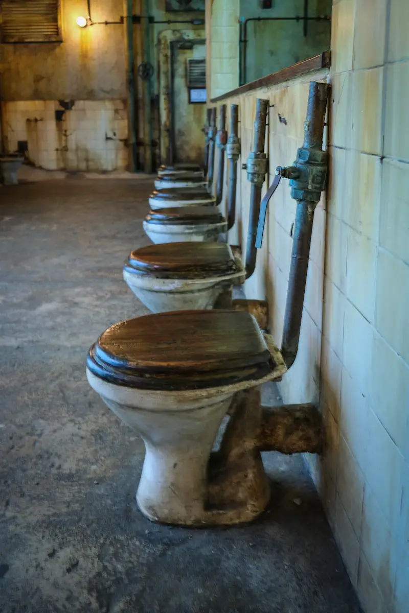 Ceramic Toilet Bowls on Gray Concrete Floor